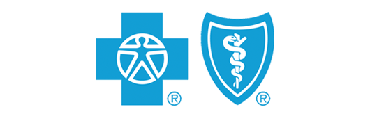 Blue Cross Blue Shield